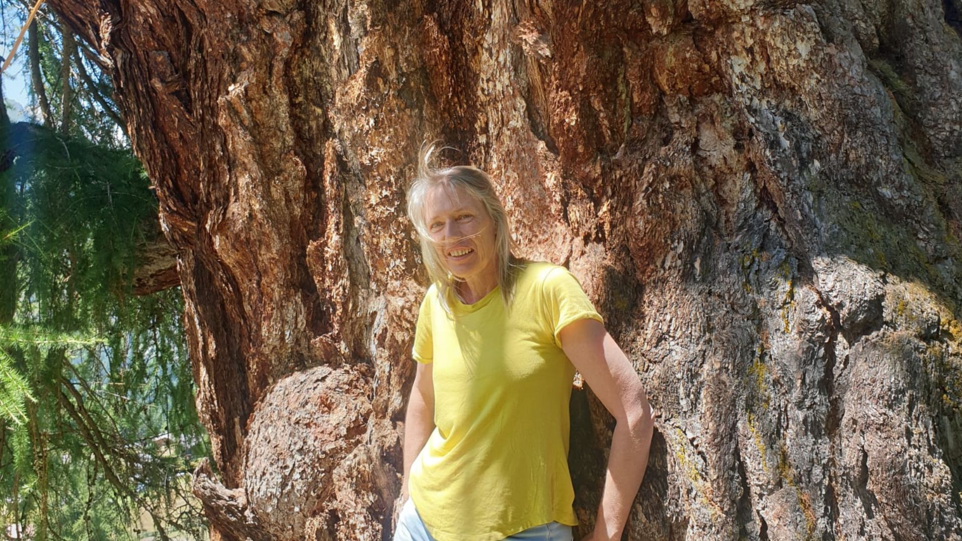 Woman gently tuning into energy beside the ancient trunk of Europe’s largest larch tree, symbolizing deep connection, ancestral wisdom, and the power of channeled healing.